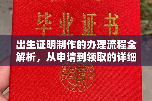 龙南出生证明制作的办理流程全解析，从申请到领取的详细指南