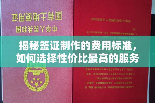 湟源揭秘签证制作的费用标准，如何选择性价比最高的服务？