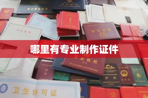 谢岗哪里有专业制作证件